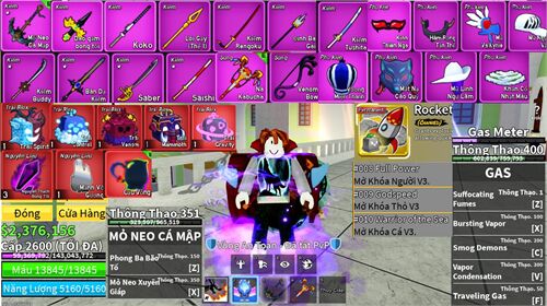 Acc #16989